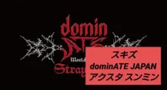 Stray Kids　スンミン　アクスタ