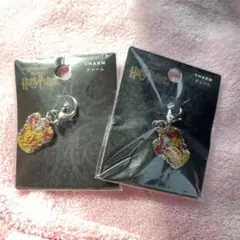 ハリーポッター グリフィンドール チャーム USJ