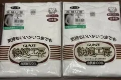 グンゼ 長袖シャツ 2枚組