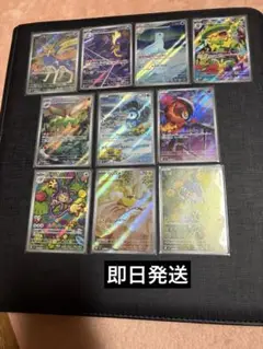 インフェルノX AR 10種類 ポッチャマ フライゴン ザシアン ストリンダー等