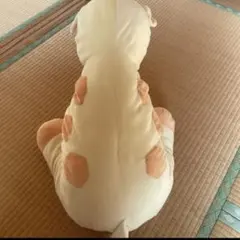 Item thumbnail for item cca38453-ba7c-41f4-a338-1a32970adf4f