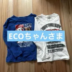 キッズ ロンT シャツ 長袖 120 パウパト 電車 春 2枚