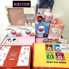 ディズニーグッズ　クリア収納ケース　鍋　ベイマックス　丼　ライト　ポーチ　コップ