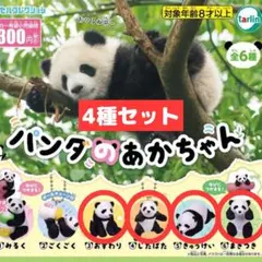 パンダの赤ちゃん ガチャ フィギュア 4種セット カプセルトイ まとめ売り