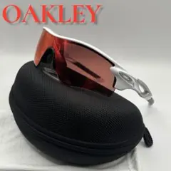 00s USA製 OAKLEY DARTBOARD オークリー ダートボード - メルカリ