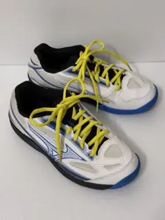 【ほぼ未使用】Mizuno BREAKSHOT4 テニスシューズ 25cmのサムネイル