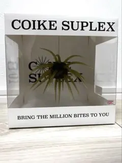 coike suplex コイケ スープレックス スカッパノン - メルカリ