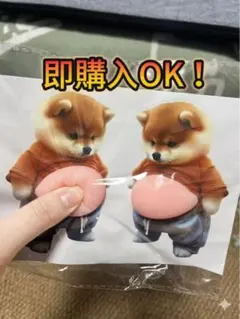 【新品】ぷにぷにお腹柴犬スクイーズ ステッカー 2枚セット 癒し デコ 衝突防止