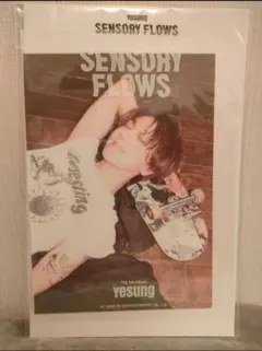 イェソン SENSORY FLOWS トレカ13枚セット SUPER JUNIOR イェソン アルバム Sensory Flows トレカの通販 by 雅's