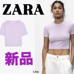 ZARA 新品 クロップド ストレッチＴシャツ　ライラック　2335059629