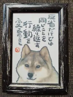 名言絵手紙【No.104】川上犬