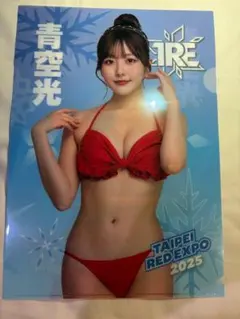 海外限定品激レア新品miru2026TRE台北國際成人展会場限定クリアファイル 非売品】森日向子 2026TRE台北國際成人展 会場限定クリアファイル
