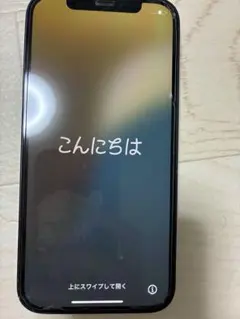 iPhone12 目立った汚れ傷なし