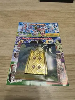 ポケモンフレンダ　おうごんのとびらキーホルダー(500個限定)