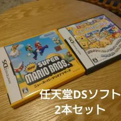 【任天堂DSソフト2本セット】