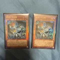 調和ノ天救竜 フィドラウリス ハルモニア レリーフ 2枚セット - メルカリ
