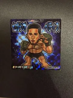 RIZIN 萩原京平 RIZIN LANDMARK13 オリジナルシール - メルカリ