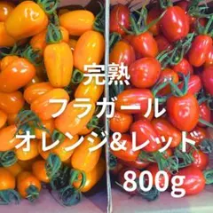 完熟ミニトマト　長崎県産　農家直送　クリックポスト　800g