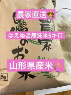 令和7年産 はえぬき白米5キロ 無洗米精米のサムネイル