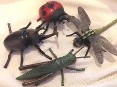 昆虫セット