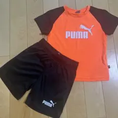 【PUMA】Tシャツとパンツセット 120cm