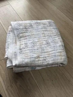 Disney Baby aden + anais ブランケット