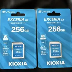 KIOXIA EXCERIA G2 256GB microSD 2枚セット - メルカリ