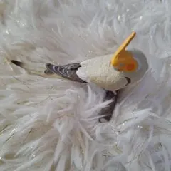インコ カプセルトイ