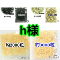 h様(専用)