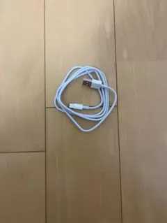 ホワイト USB充電ケーブル 標準 即購入可 即日発送