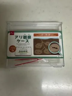 Item thumbnail for item 1d16c42e-1deb-491b-bfdf-38b4824ba0b1