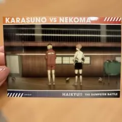 ハイキュー!! ゴミ捨て場の決戦 トレーディングスナップカードセット