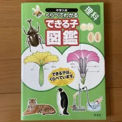 kokomi様 リクエスト 2点 まとめ商品