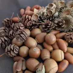 木の実　詰め合わせ　3