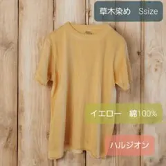 Item thumbnail for item d6decb17-8315-456d-852e-12ca43d0801d