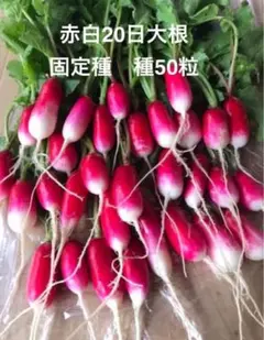 のりのり様 リクエスト 3点 まとめ商品