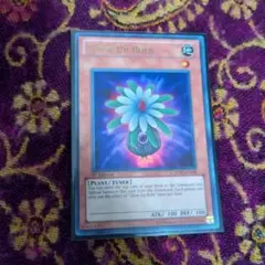 2025年最新】グローアップバルブ 英語の人気アイテム - メルカリ