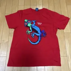 オーストラリア Tシャツ