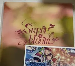 スタフォニ 4th パンフレット 特典