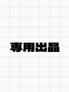 専用出品