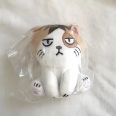 ハイキュー‼︎ アニマルぬいぐるみマスコット ケンマネコ