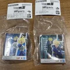 ドラゴンボールZ SHFiguarts 2体セット