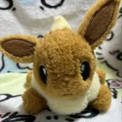 【美品】くたくたたった イーブイ
