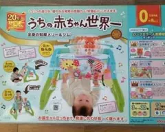 12/15までのお値段！うちの赤ちゃん世界一 ベビージム