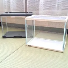 水槽 透明プラスチック製 ホワイト ブラック 2色のサムネイル