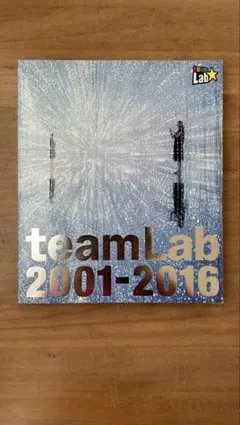 teamLab 2001-2016 チームラボ