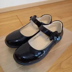 Item thumbnail for item 5db2b3a3-d04b-40ff-b4cc-fea549f47355