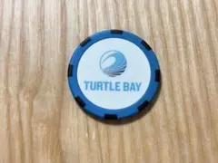 Item thumbnail for item dc97651f-01a2-4a45-9e75-2feb67931f15