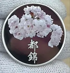 2026年最新】桜の通り抜けプルーフ貨幣セットの人気アイテム - メルカリ