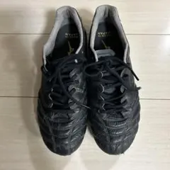 Item thumbnail for item 2d80aa6f-3914-4795-92c2-c8f1153823e6